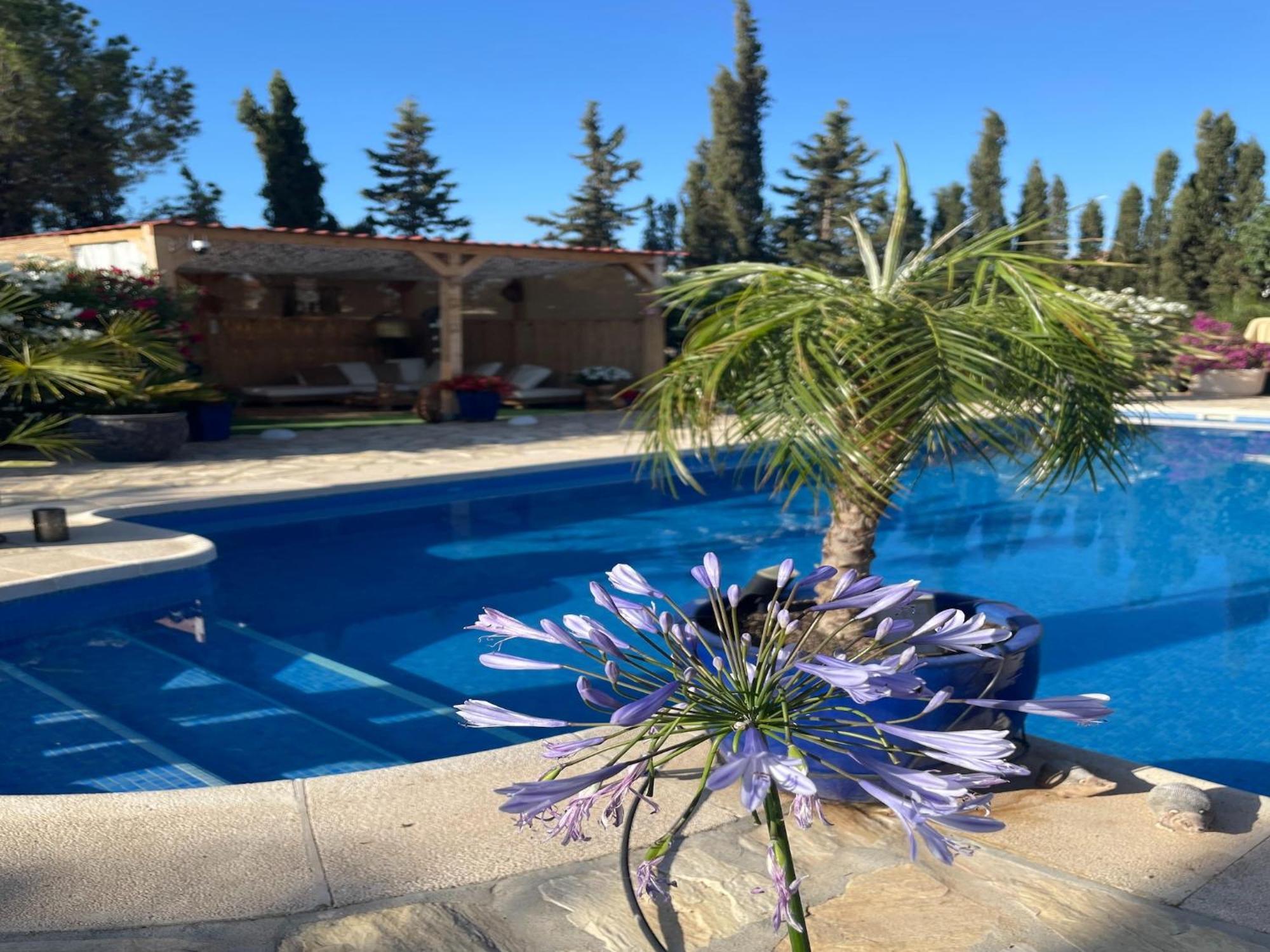 Belvilla By Oyo La Esquina Casa Albox Dış mekan fotoğraf